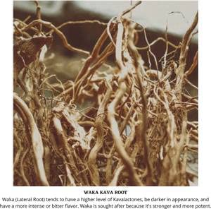 enjoy-kava-kava-1-2-lb-227g-kava-root-wa-2.jpg
