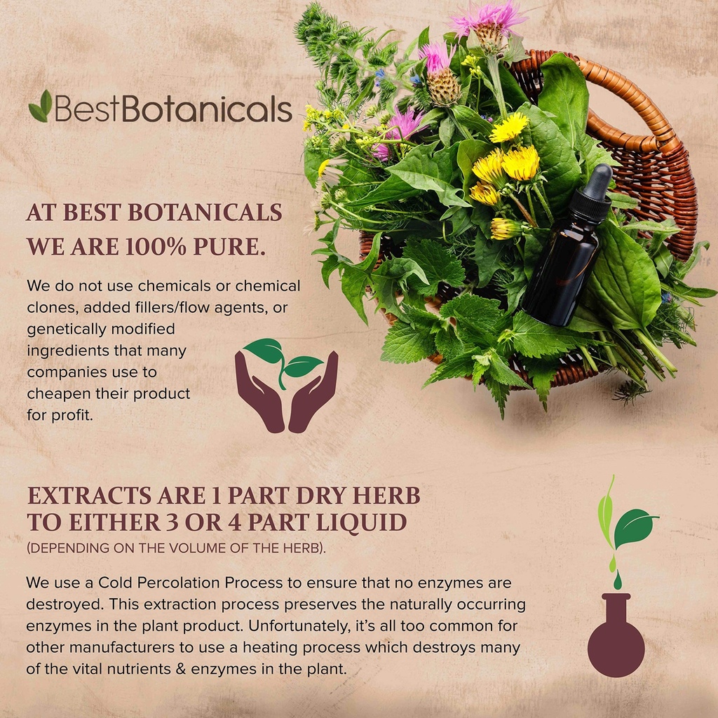 best-botanicals-kava-kava-root-powder-16-3.jpg