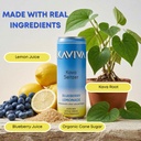 kaviva-kava-soda-seltzer-social-relaxati-3.jpg
