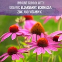 garden-of-life-immune-support-bundle-org-3.jpg