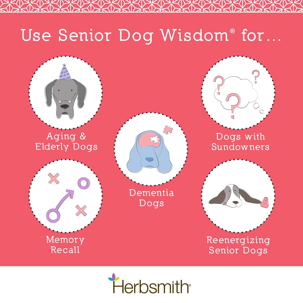 herbsmith-senior-dog-wisdom-dog-dementia-3.jpg