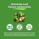 vitapia-organic-artichoke-extract-supple-5.jpg