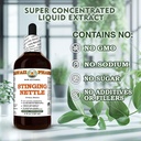 stinging-nettle-urtica-dioica-dry-root-g-6.jpg