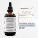 secrets-of-the-tribe-mullein-leaf-tinctu-4.jpg