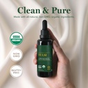 global-healing-center-organic-tulsi-holy-4.jpg