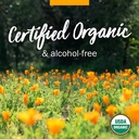 herb-pharm-certified-organic-stoneroot-b-5.jpg