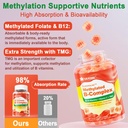 lilicare-vitamin-b-complex-filled-gummie-4.jpg