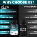 organic-cadane-11-in-1-nicotinamide-ribo-5.jpg