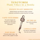 urban-moonshine-original-digestive-bitte-5.jpg