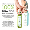 raw-fountain-juice-cleanse-5-day-tropica-6.jpg