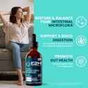 e2h-advanced-intestinal-support---promot-2.jpg