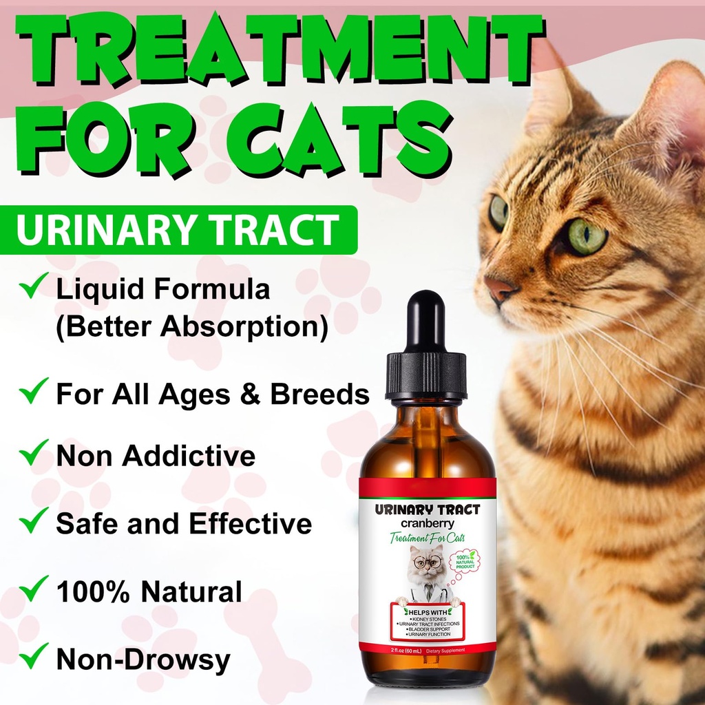 cat-uti-treatment-cat-urinary-tract-infe-4.jpg