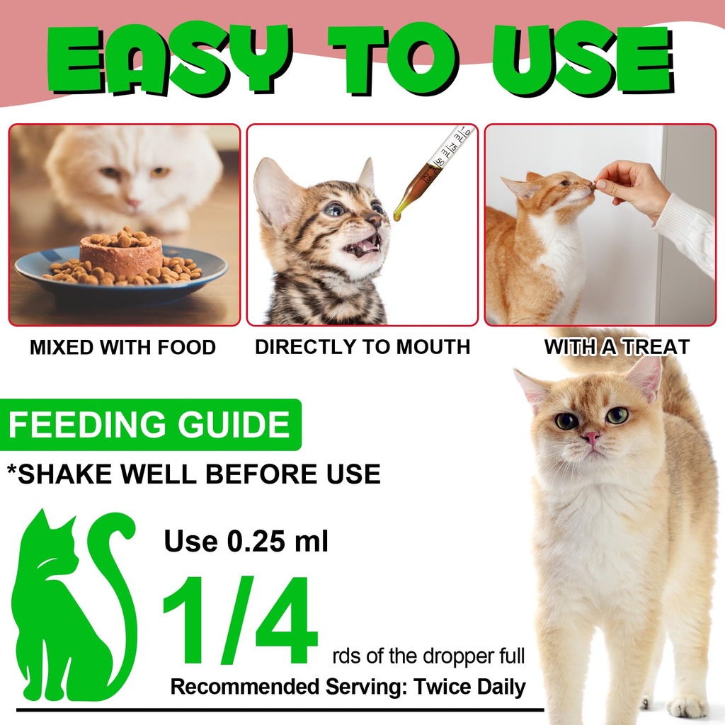 cat-uti-treatment-cat-urinary-tract-infe-6.jpg