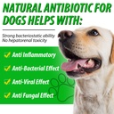 2-pack-antibiotics-for-dogs-natural-anti-5.jpg