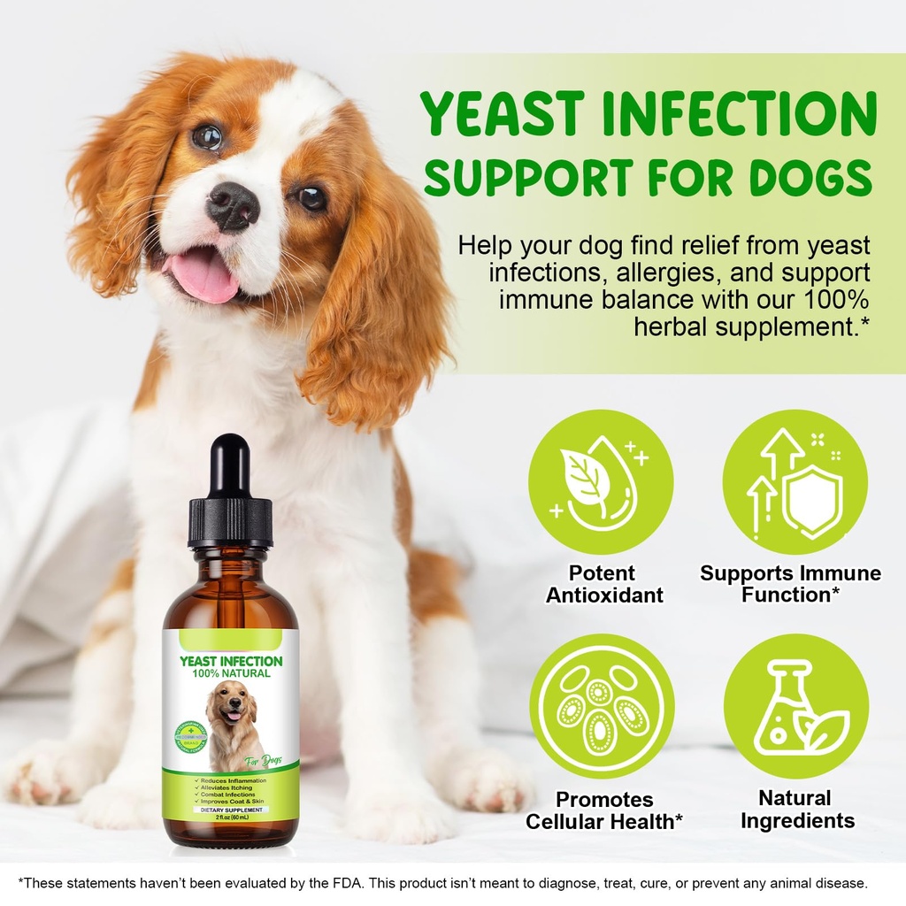 yeast-infection-for-dogs-natural-yeast-i-5.jpg