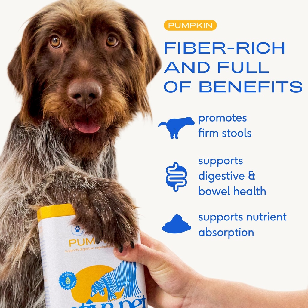 native-pet-pumpkin-powder-for-dogs-30-sc-2.jpg