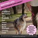 dog-multivitamin-dental-powder-virtual-b-2.jpg