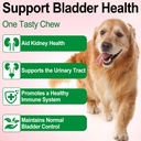 urinary-tract-for-dogs-dog-urinary-tract-6.jpg