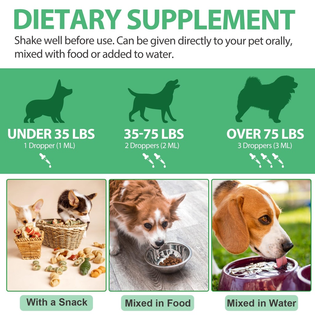 antibiotics-for-dogs-dogs-antibiotic-liq-5.jpg