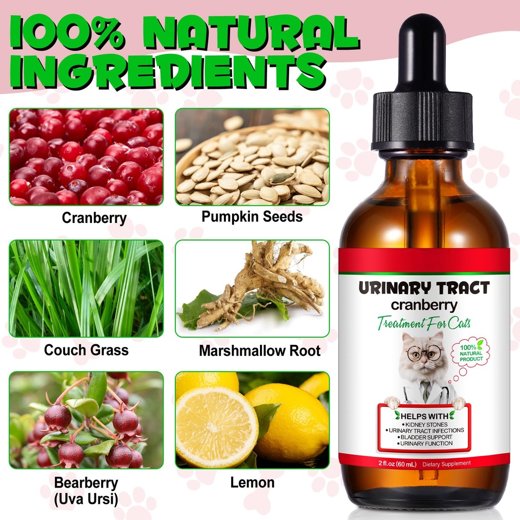 feline-urinary-tract-health-cat-uti-reme-6.jpg