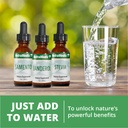 nutramedix-moodmedix-mood-support-supple-6.jpg