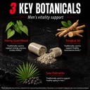 testosterone-booster-for-men-male-hormon-5.jpg