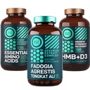 wild-fuel-amino-acids-hmb-and-fadogia-ag-4.jpg