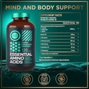 wild-fuel-amino-acids-hmb-and-fadogia-ag-6.jpg