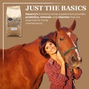 equerry-s-economy-equine-supplement-hors-6.jpg