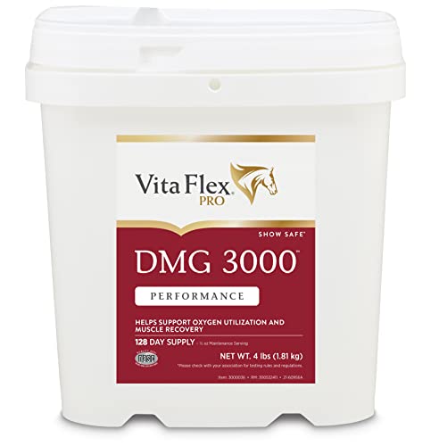 vita-flex-pro-dmg-3000-horse-dmg-concent-6.jpg