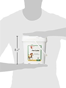 vita-flex-pure-lysine-151-day-supply-4-l-2.jpg