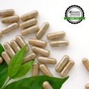 remedy-s-nutrition-betaine-hcl-hydrochlo-6.jpg