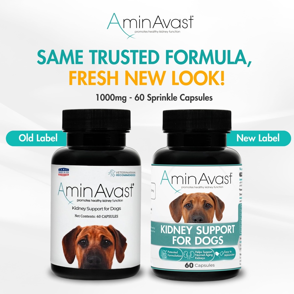 aminavast-kidney-support-for-cats-small--2.jpg