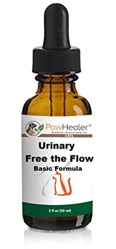 cat-small-dogs-bladder-remedy-for-stones-4.jpg