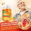 coq10-500mg-gummies-for-adults-coenzyme--81OntFH78zL.jpg