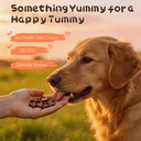 probiotics-for-dogs-dog-probiotics-120-s-71yJILoj2lL.jpg