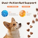 probiotics-for-dogs-dog-probiotics-120-s-71nQjCxE0-L.jpg