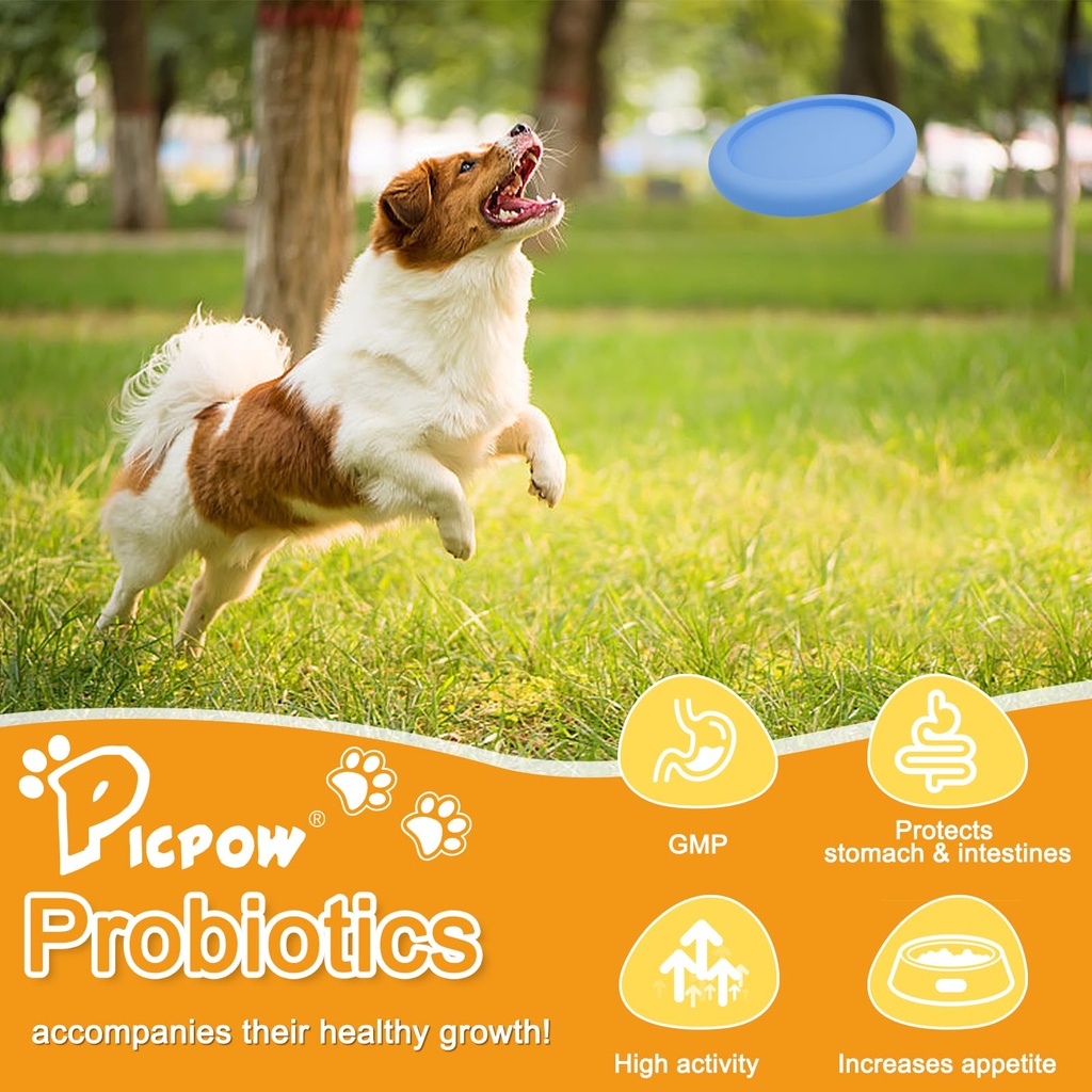 probiotics-for-dogs-cats-with-prebiotics-71U2Lr1WCOL.jpg