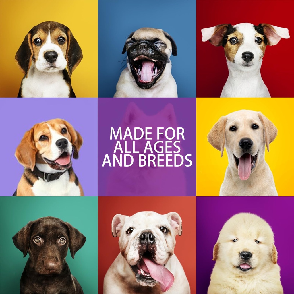 probiotics-chews-for-dogs-promotes-diges-71LNJcLeeCL.jpg