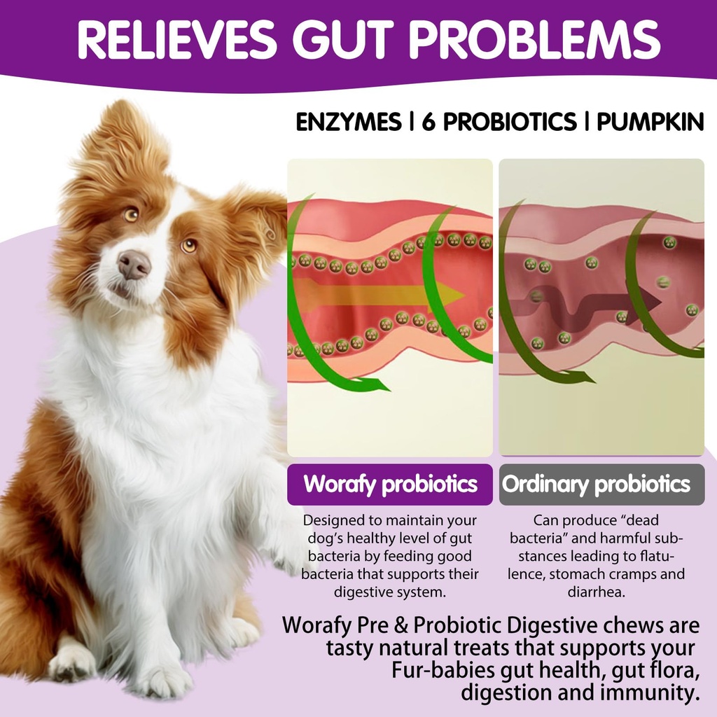 probiotics-chews-for-dogs-promotes-diges-71RDZECCLDL.jpg