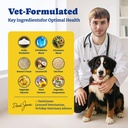probiotics-for-dogs-dog-gut-immune-skin--719uRX9WINL.jpg