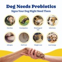 probiotics-for-dogs-dog-gut-immune-skin--71KLKeOunvL.jpg