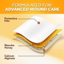 honey-calcium-alginate-wound-dressing-mo-7114TW9FrbL.jpg
