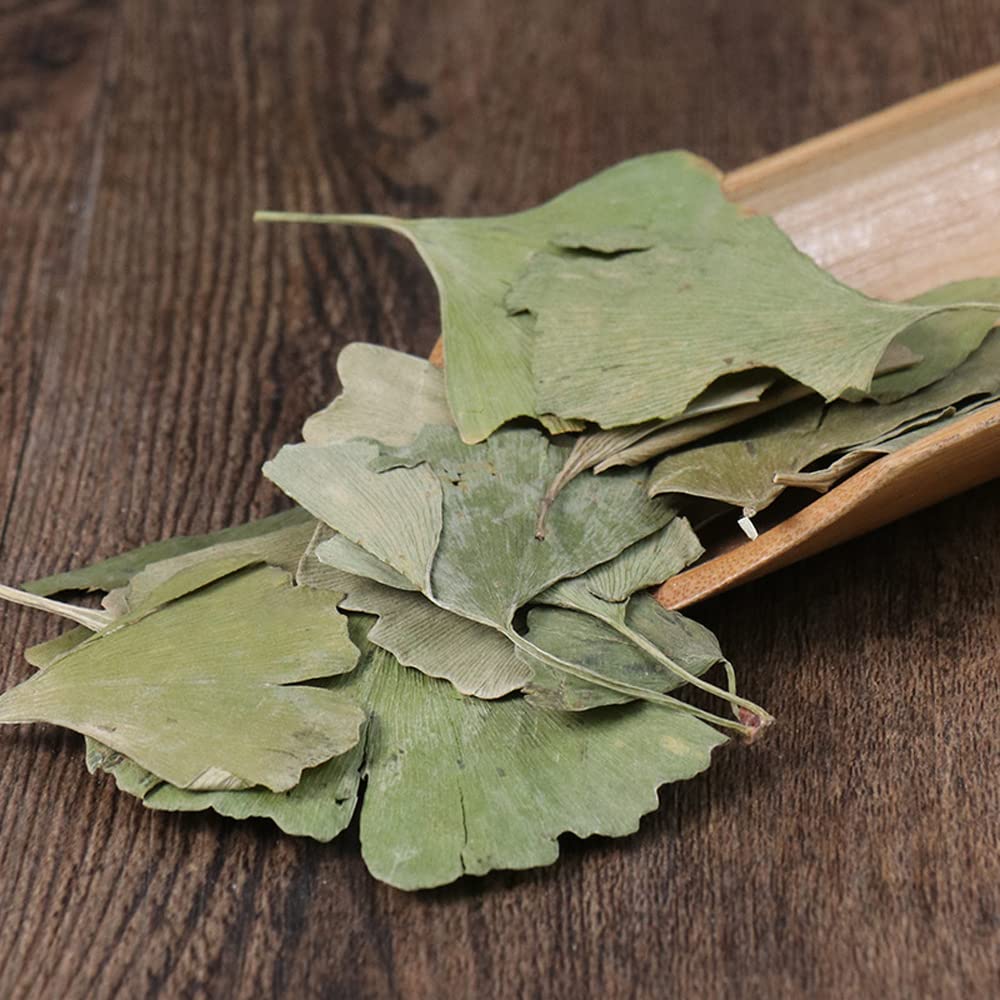 dried-ginkgo-biloba-leaves-ginkgo-biloba-61JIdLaX5bL.jpg