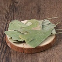 dried-ginkgo-biloba-leaves-ginkgo-biloba-61BOjK32ooL.jpg