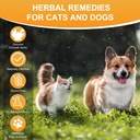dog-cat-bladder-crystals-treatment-or-st-81XoQWafdBL.jpg