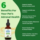 dr-n-l-balance-for-dogs-and-cats-cushing-71z+Ao85BhL.jpg