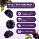 sambucol-elderberry-gummies-immune-suppo-81jdwwB1tLL.jpg