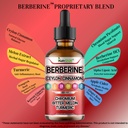 berberine-liquid-drops-with-ceylon-cinna-71pGzktSJJL.jpg