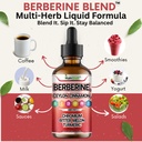 berberine-liquid-drops-with-ceylon-cinna-71dfihuzI4L.jpg